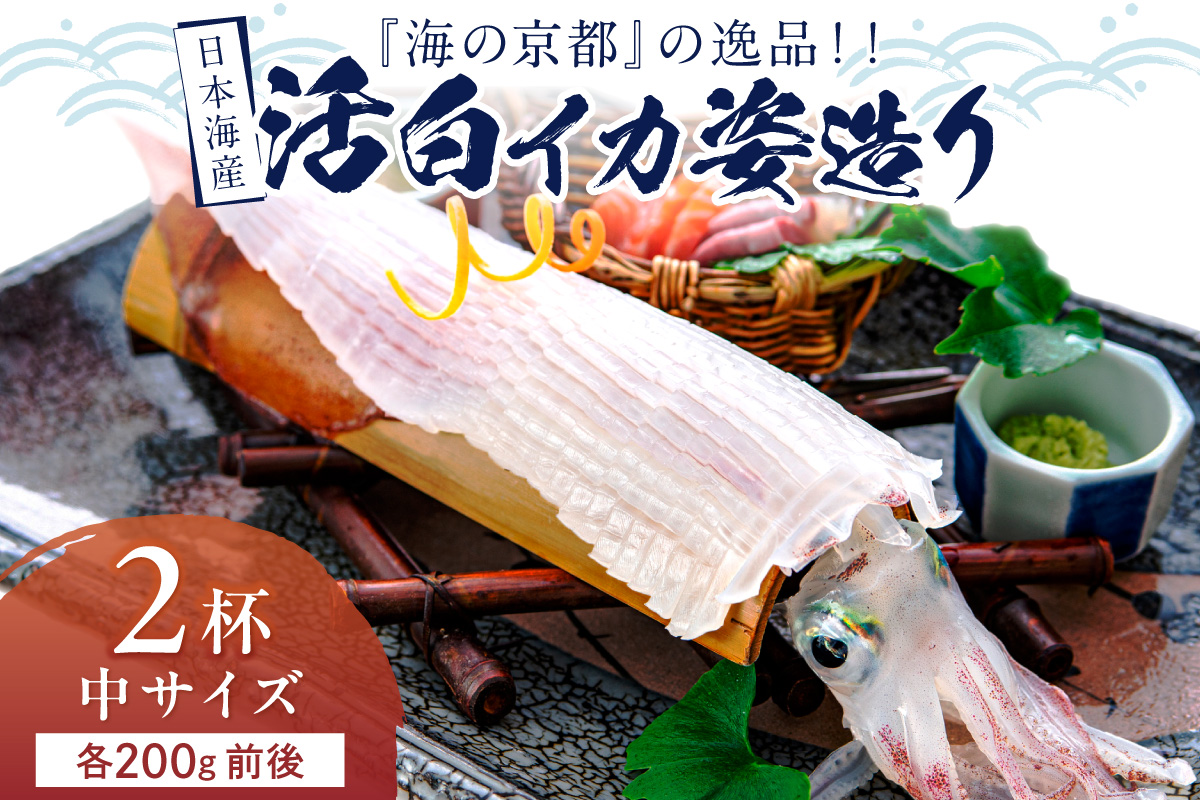 譌・譛ャ豬キ逕」縲取オキ縺ョ莠ャ驛ス縲上ョ騾ク蜩シシ√豢サ逋ス繧、繧ォ蟋ソ騾繧奇シ医け繝ェ繧ケ繧ソ繝ォ逋ス縺縺具シ我クュ繧オ繧、繧コ 2譚ッシ200g蜑榊セ鯉シ会シ2026蟷エ6譛井ク頑流ス樒匱騾シ 縺オ繧九&縺ィ邏咲ィ 豬キ魄ョ 魄ョ蠎ヲ謚懃セ、 譁ー魄ョ 豬キ魄ョ 縺縺 繧、繧ォ 邁。蜊倩ェソ逅 逕溽肇閠蠢懈抄 騾∵侭辟。譁 逕滄」 鬲壻サ矩。 豢サ繧、繧ォ