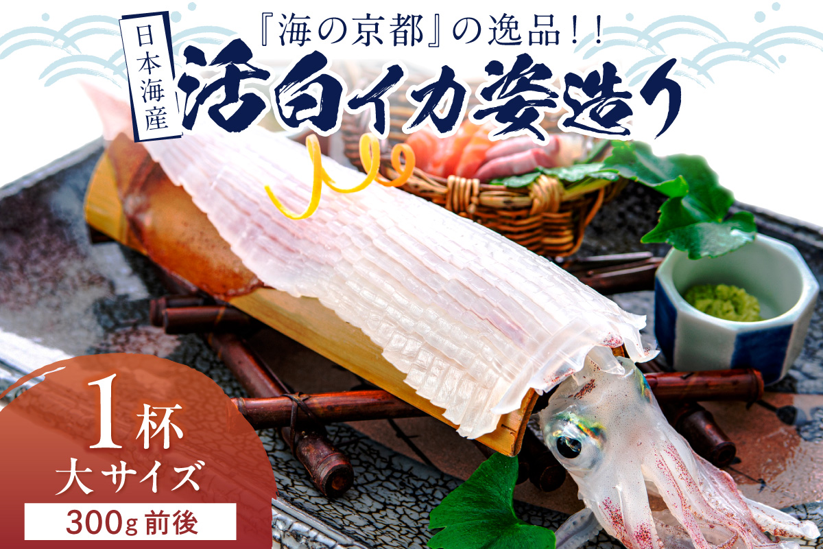 譌・譛ャ豬キ逕」縲取オキ縺ョ莠ャ驛ス縲上ョ騾ク蜩シシ√豢サ逋ス繧、繧ォ蟋ソ騾繧奇シ医け繝ェ繧ケ繧ソ繝ォ逋ス縺縺具シ牙、ァ繧オ繧、繧コ 1譚ッシ300g蜑榊セ鯉シ会シ2026蟷エ6譛井ク頑流ス樒匱騾シ