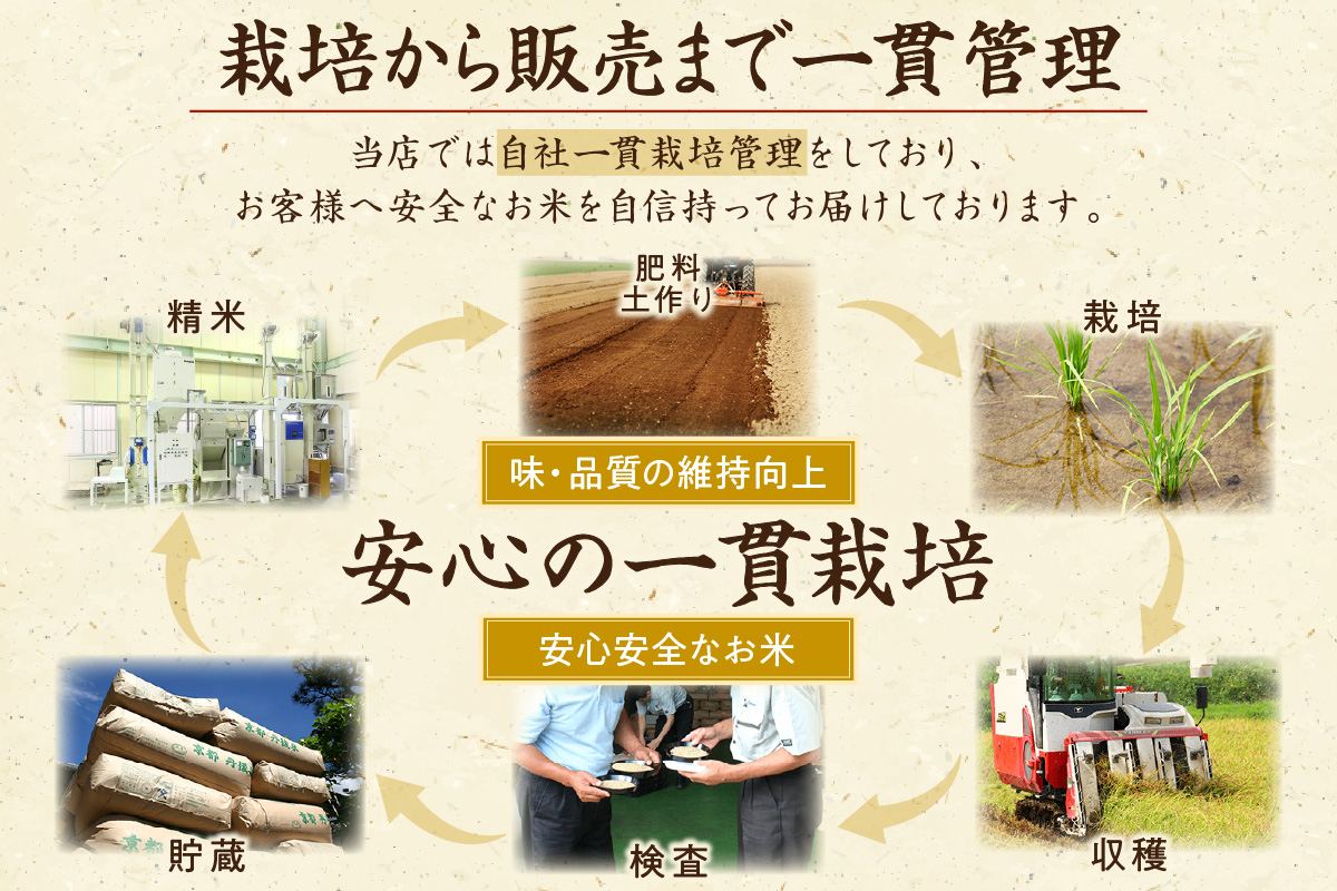 京都・丹後コシヒカリ 無洗米 10kg（5kg×2袋）米 お米 コシヒカリ ふるさと納税 無洗米 ふるさと納税 米 ふるさと納税 お米 ふるさと納税 コシヒカリ 農家応援 生産者応援 送料無料