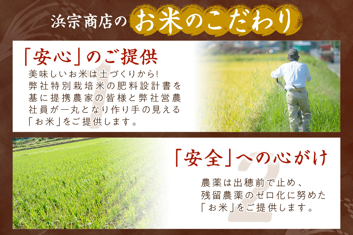 京都・丹後コシヒカリ 無洗米 10kg（5kg×2袋）米 お米 コシヒカリ ふるさと納税 無洗米 ふるさと納税 米 ふるさと納税 お米 ふるさと納税 コシヒカリ 農家応援 生産者応援 送料無料