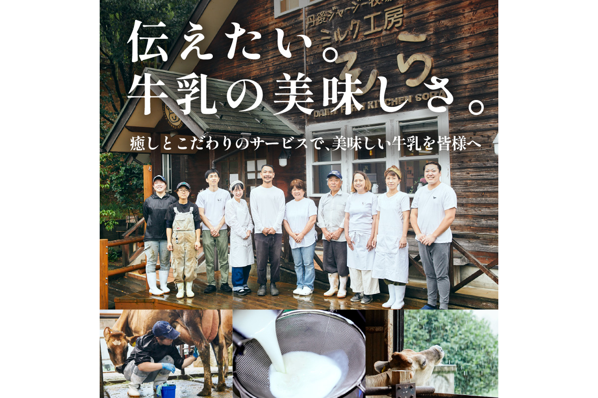 繧ク繝」繝シ繧ク繝シ繝溘Ν繧ッ繝斐せ(500mlテ4譛ャ繧サ繝繝)蛹也イァ邂ア蜈・ 繝溘Ν繧ッ繝斐せ 荵ウ陬ス蜩 荳ケ蠕後ず繝」繝シ繧ク繝シ迚ァ蝣エ 繝溘Ν繧ッ蟾・謌ソ縺昴i 繧ク繝」繝シ繧ク繝シ迚帑ケウ縺ョ鄒主袖縺励&蠎縺後k 荵ウ驟ク闖後ラ繝ェ繝ウ繧ッ 荵ウ驟ク闖碁」イ譁