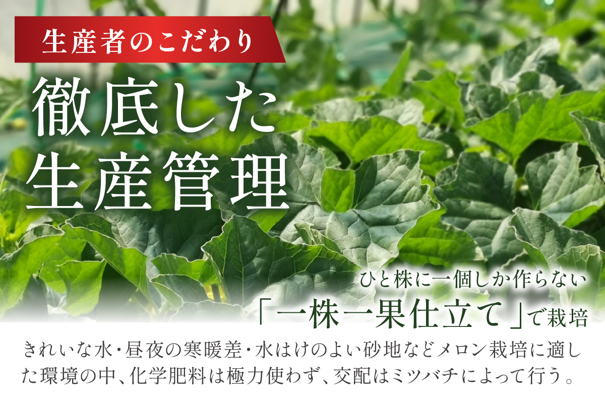 ãæ°ééå®500ã京ã®ãã©ã³ãç£å 京ãããã¡ãã³ çŽåŒã¡ãã³ 3Lãµã€ãº 1çïŒ2026幎6æäžæ¬ïœçºéïŒ