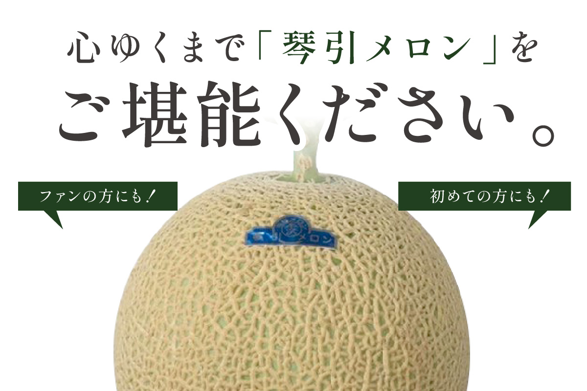 ãæ°ééå®500ã京ã®ãã©ã³ãç£å 京ãããã¡ãã³ çŽåŒã¡ãã³ 3Lãµã€ãº 1çïŒ2026幎6æäžæ¬ïœçºéïŒ
