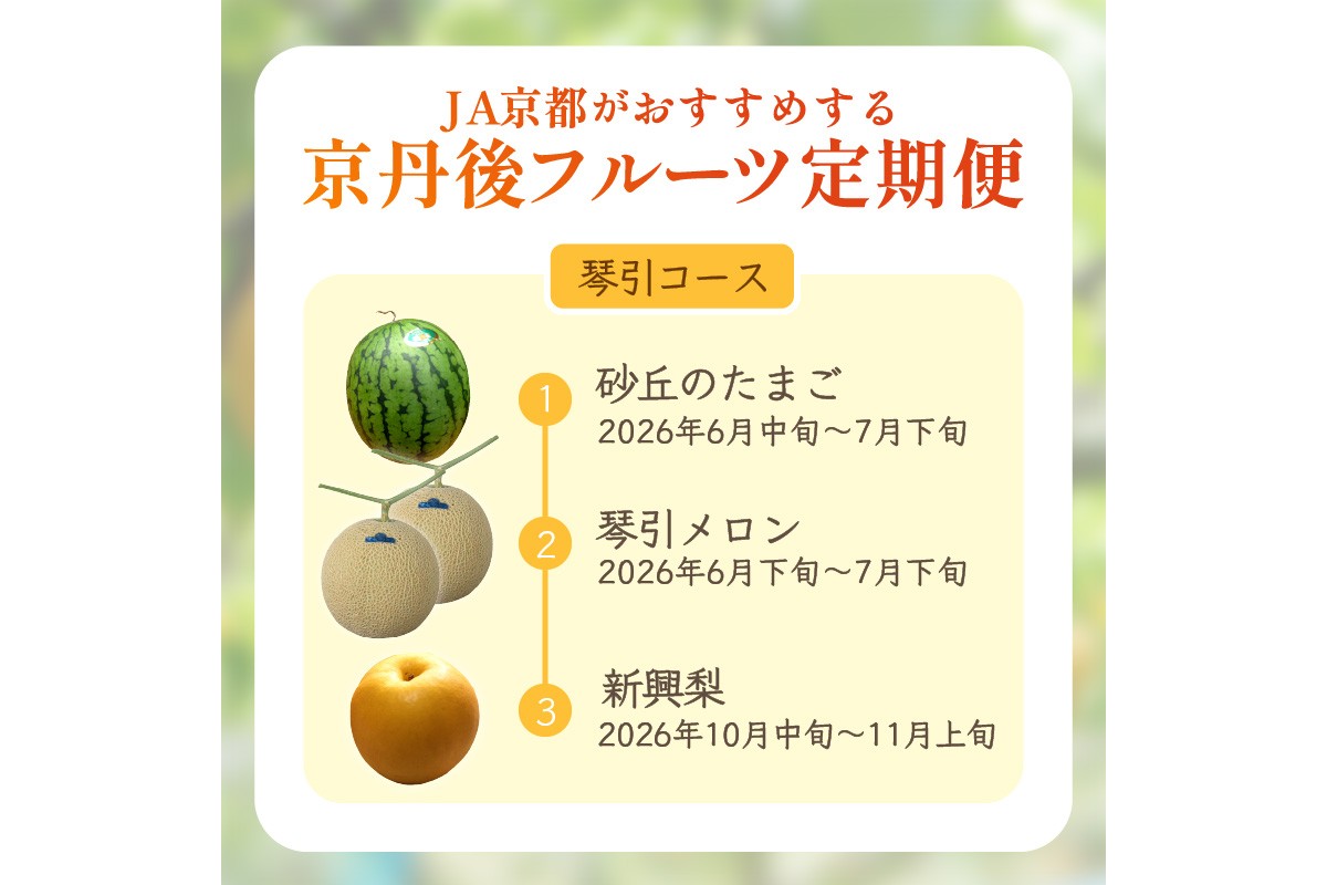 JA京都がおすすめする京丹後フルーツ定期便～琴引コース～（2026年6月中旬～発送）  京のブランド産品 メロン めろん 梨 なし ナシ スイカ 西瓜 すいか 国産 砂丘 甘い 高糖度 高級 期間限定 ふるさと納税 フルーツ 先行予約 お取り寄せ 農協