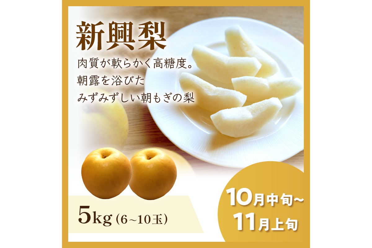 JA京都がおすすめする京丹後フルーツ定期便～琴引コース～（2026年6月中旬～発送）  京のブランド産品 メロン めろん 梨 なし ナシ スイカ 西瓜 すいか 国産 砂丘 甘い 高糖度 高級 期間限定 ふるさと納税 フルーツ 先行予約 お取り寄せ 農協