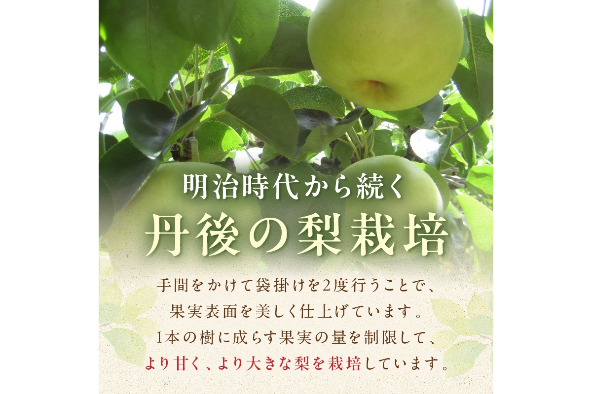 ãå
è¡äºçŽïŒæ°ééå®150ã20äžçŽæ¢š 5kgïŒ2026幎9æäžæ¬ïœçºéïŒ