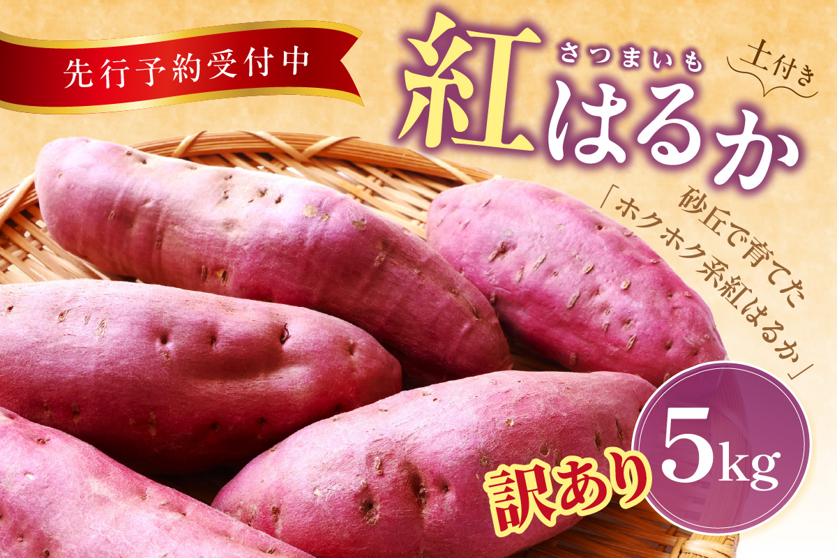 【先行予約／数量限定】訳あり 京丹後産 土付き 紅はるか（さつまいも） 5kg（2026年11月上旬～発送） ご家庭用（優品・無洗・無洗別・特大込み）