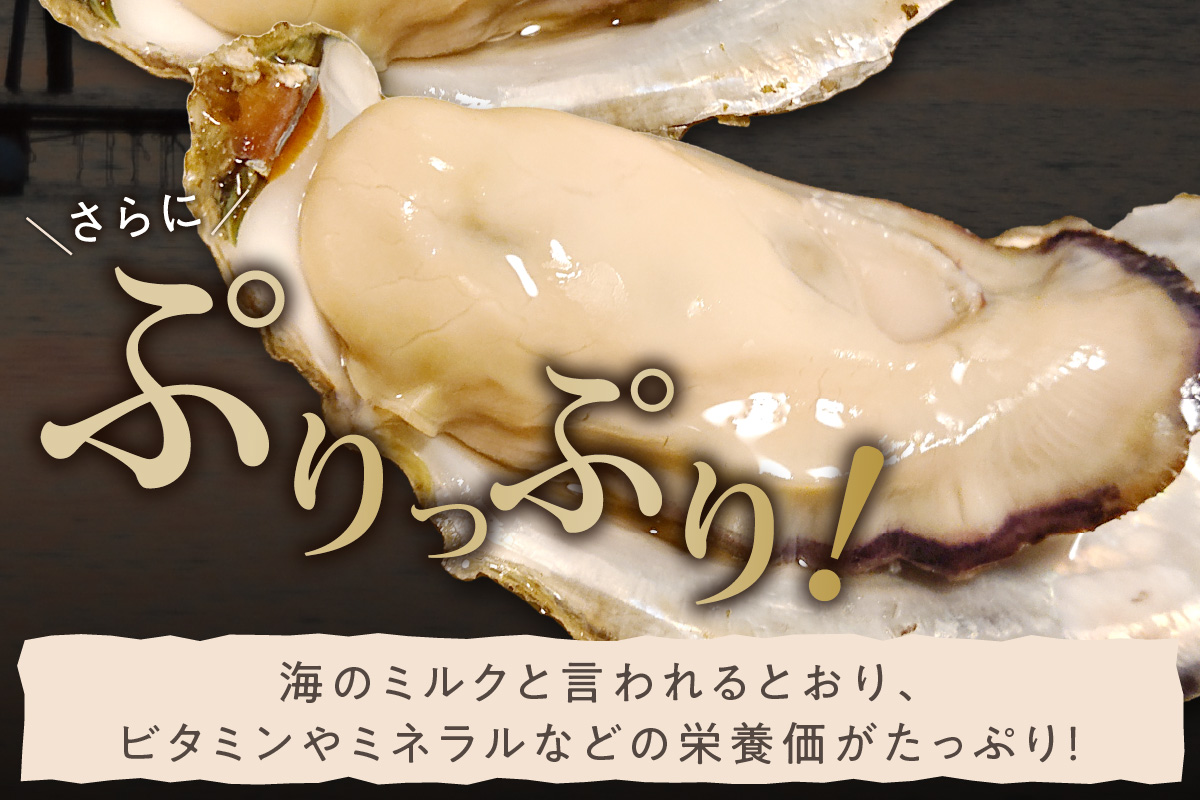 京都・京丹後産　殻付き牡蠣2～3個入り×3パック 魚介 貝 国産 殻付き 真牡蠣 加熱用 ふるさと納税 牡蠣 ふるさと納税 かき カキ