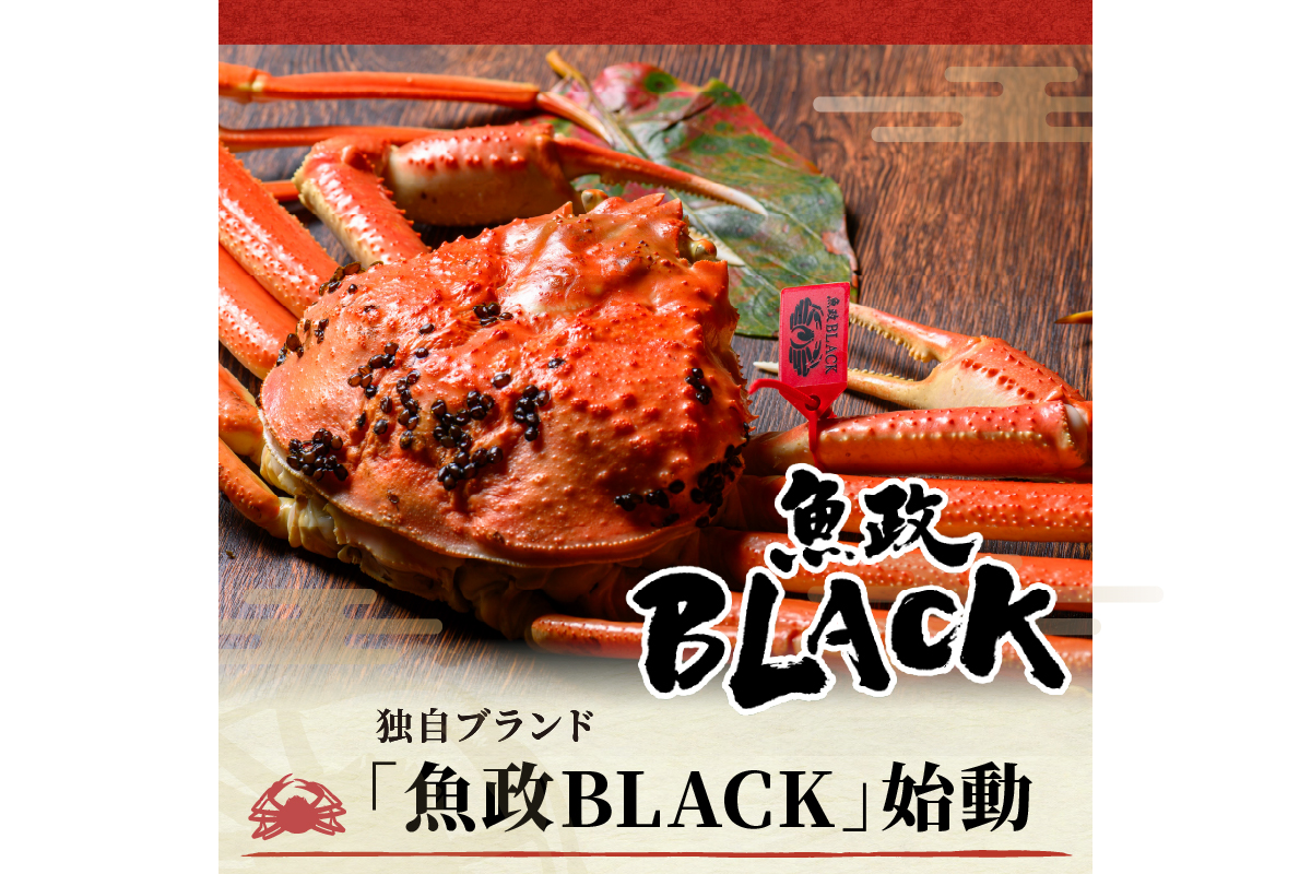 訳あり　【蟹の匠 魚政】茹で　プレミアムズワイガニ 魚政BLACK（松葉ガニ・越前ガニ） 特大サイズ（1200～1300g） 1匹(1月～3月発送） ふるさと納税 カニ 蟹 松葉蟹 松葉ガニ 越前蟹  京丹後 ふるさと納税 蟹 ふるさと納税 予約 ふるさと納税 予約 カニ魚介類 甲殻類