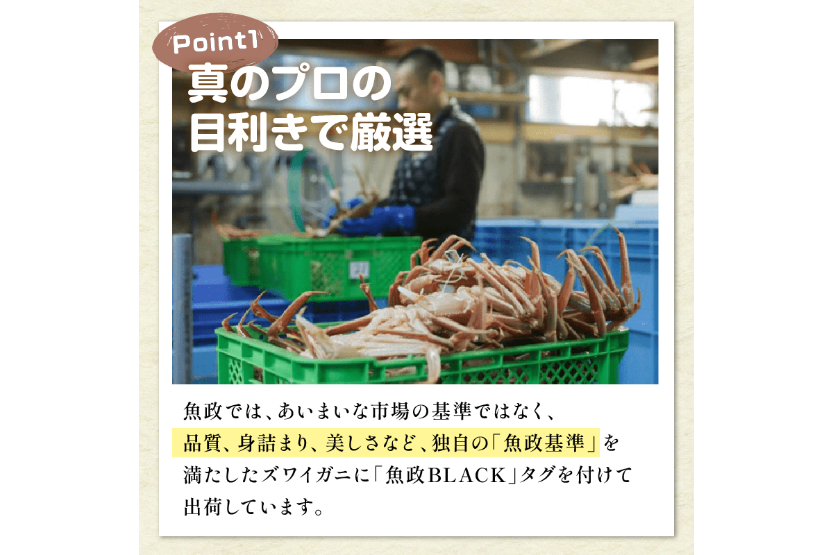 訳あり　【蟹の匠 魚政】茹で　プレミアムズワイガニ 魚政BLACK（松葉ガニ・越前ガニ） 特大サイズ（1200～1300g） 1匹(1月～3月発送） ふるさと納税 カニ 蟹 松葉蟹 松葉ガニ 越前蟹  京丹後 ふるさと納税 蟹 ふるさと納税 予約 ふるさと納税 予約 カニ魚介類 甲殻類