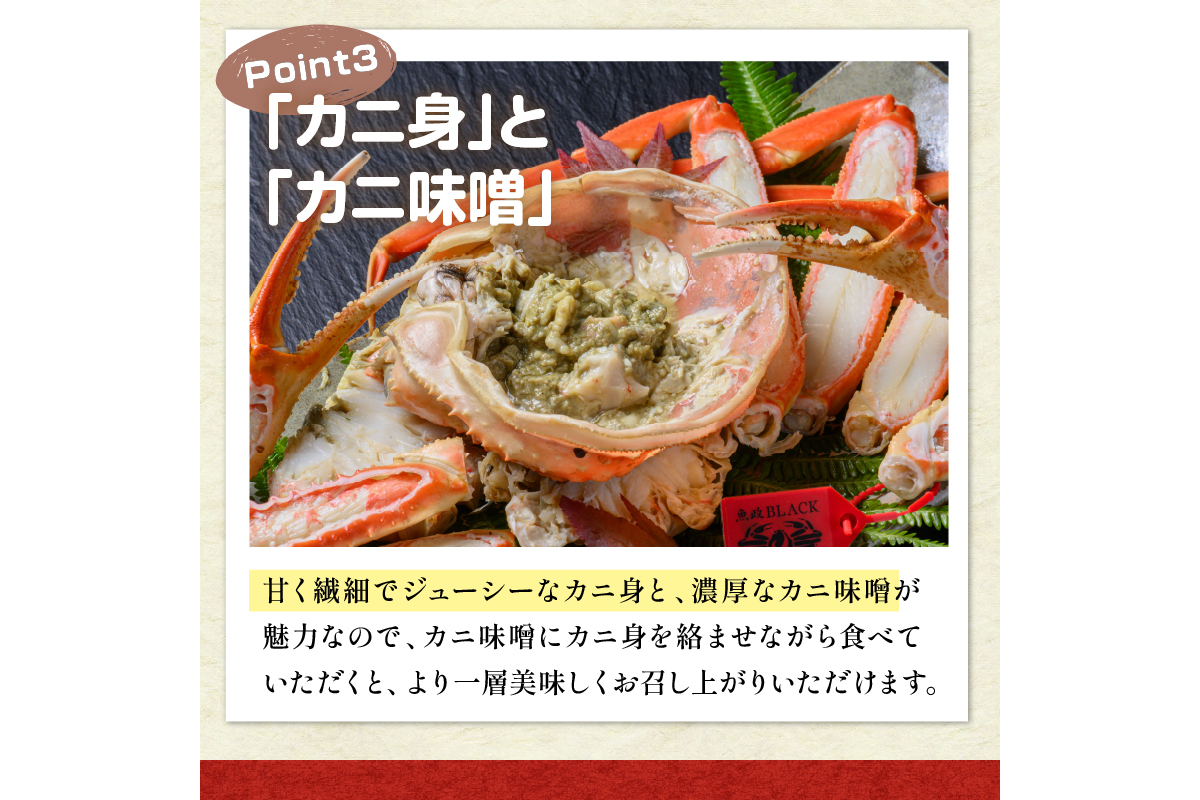 訳あり　【蟹の匠 魚政】茹で　プレミアムズワイガニ 魚政BLACK（松葉ガニ・越前ガニ） 特大サイズ（1200～1300g） 1匹(1月～3月発送） ふるさと納税 カニ 蟹 松葉蟹 松葉ガニ 越前蟹  京丹後 ふるさと納税 蟹 ふるさと納税 予約 ふるさと納税 予約 カニ魚介類 甲殻類