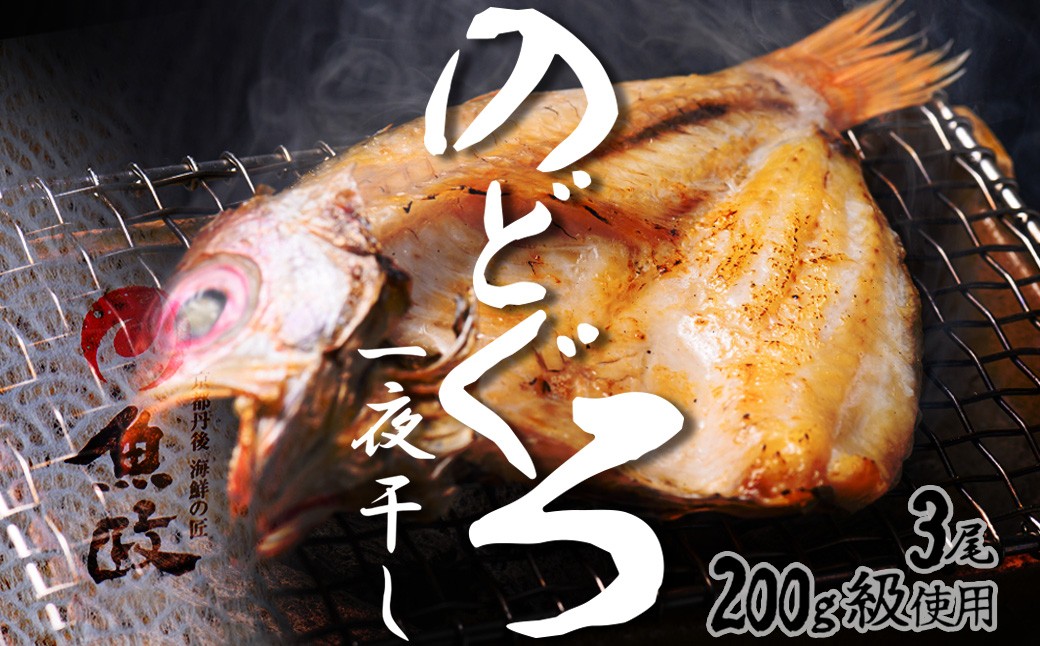 【先行予約】【海鮮の匠 魚政】のどぐろ一夜干し（ノドグロ、のど黒、アカムツ）200g級使用 3尾セット　のどぐろ のど黒 海鮮 魚介 日本海産  天然塩 冷凍 干物 一夜干し 脂のり 焼き魚 高級魚 干もの 凝縮 塩焼き 煮付け 贅沢 濃厚 日本海 個包装 魚政 送料無料