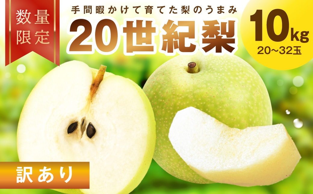 【先行予約／数量限定30】訳あり 廿世紀梨 10kg（2026年9月上旬～発送）