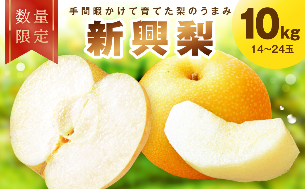 【先行予約／数量限定30】新興梨 10kg（2026年10月中旬～発送）