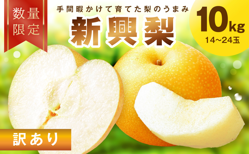 【先行予約／数量限定30】訳あり 新興梨 10kg（2026年10月中旬～発送）