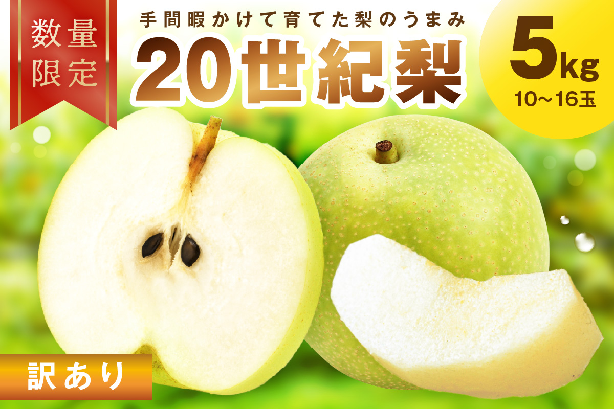 【先行予約／数量限定100】訳あり 廿世紀梨 5kg（2026年9月上旬～発送）