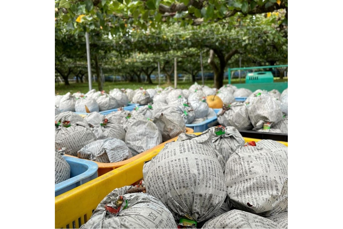 ãå
è¡äºçŽïŒæ°ééå®100ãèš³ãã æ°è梚ã5kgïŒ2026幎10æäžæ¬ïœçºéïŒ