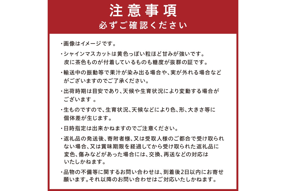 【先行予約／数量限定100】訳ありシャインマスカット 1.6kg以上（2～3房入り）（2026年9月上旬～発送）