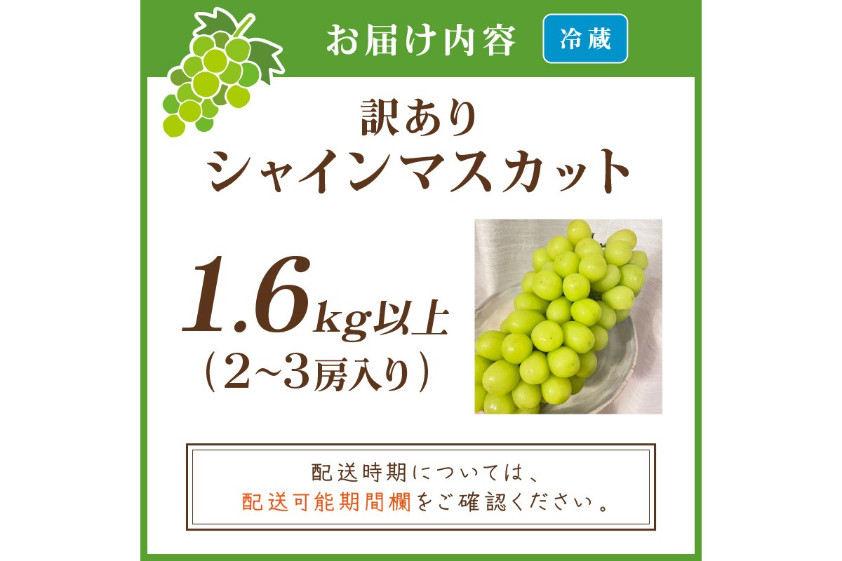 【先行予約／数量限定100】訳ありシャインマスカット 1.6kg以上（2～3房入り）（2026年9月上旬～発送）