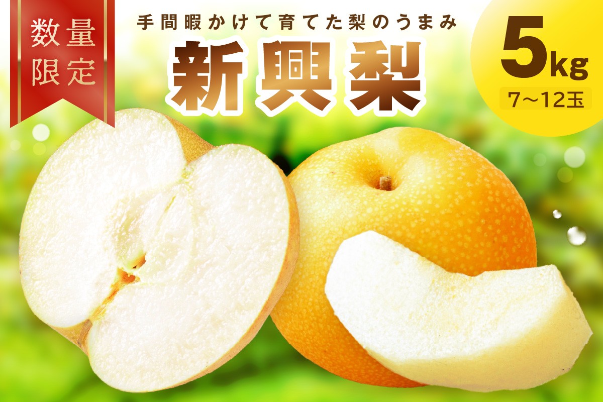 【先行予約／数量限定100】新興梨　5kg（2026年10月中旬～発送）