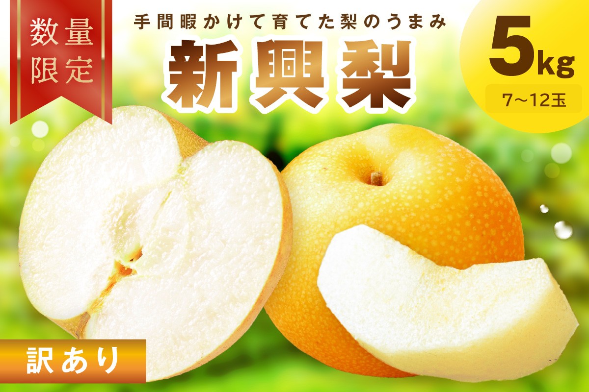 【先行予約／数量限定100】訳あり 新興梨　5kg（2026年10月中旬～発送）