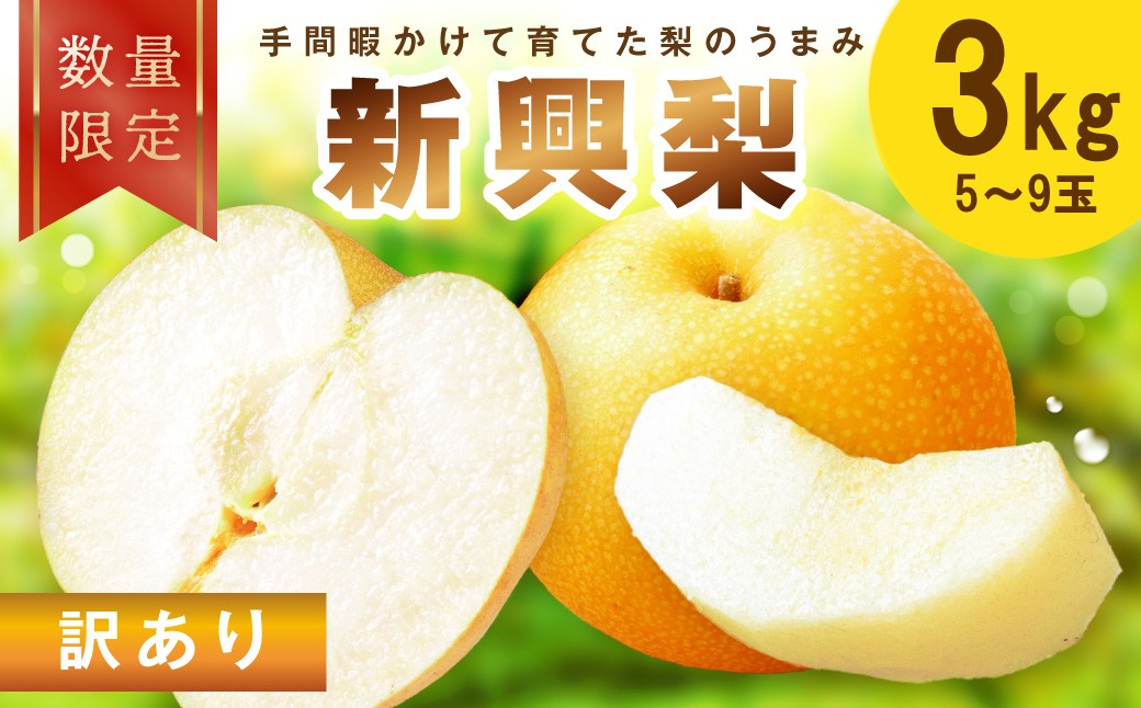 【先行予約／数量限定100】訳あり 新興梨　3kg（2026年10月中旬～発送）　ふるさと納税 訳あり フルーツ くだもの 国産 梨 新興梨 わけあり 訳有り ワケアリ 先行予約 ふるさと納税 梨
