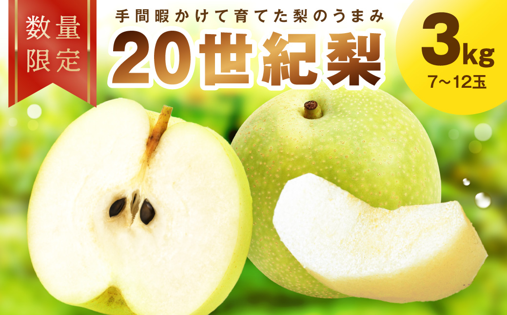 縲仙郁。御コ育エシ乗焚驥城剞螳100縲大サソ荳也エ譴ィ 3kgシ2026蟷エ9譛井ク頑流ス樒匱騾シ峨繝輔Ν繝シ繝 縺上□繧ゅョ 蝗ス逕」 譴ィ 莠悟香荳也エ 20荳也エ 蟒ソ荳也エ 縺オ繧九&縺ィ 邏咲ィ 譴ィ 縺オ繧九&縺ィ邏咲ィ 繝輔Ν繝シ繝 縺オ繧九&縺ィ 邏咲ィ 20荳也エ譴ィ