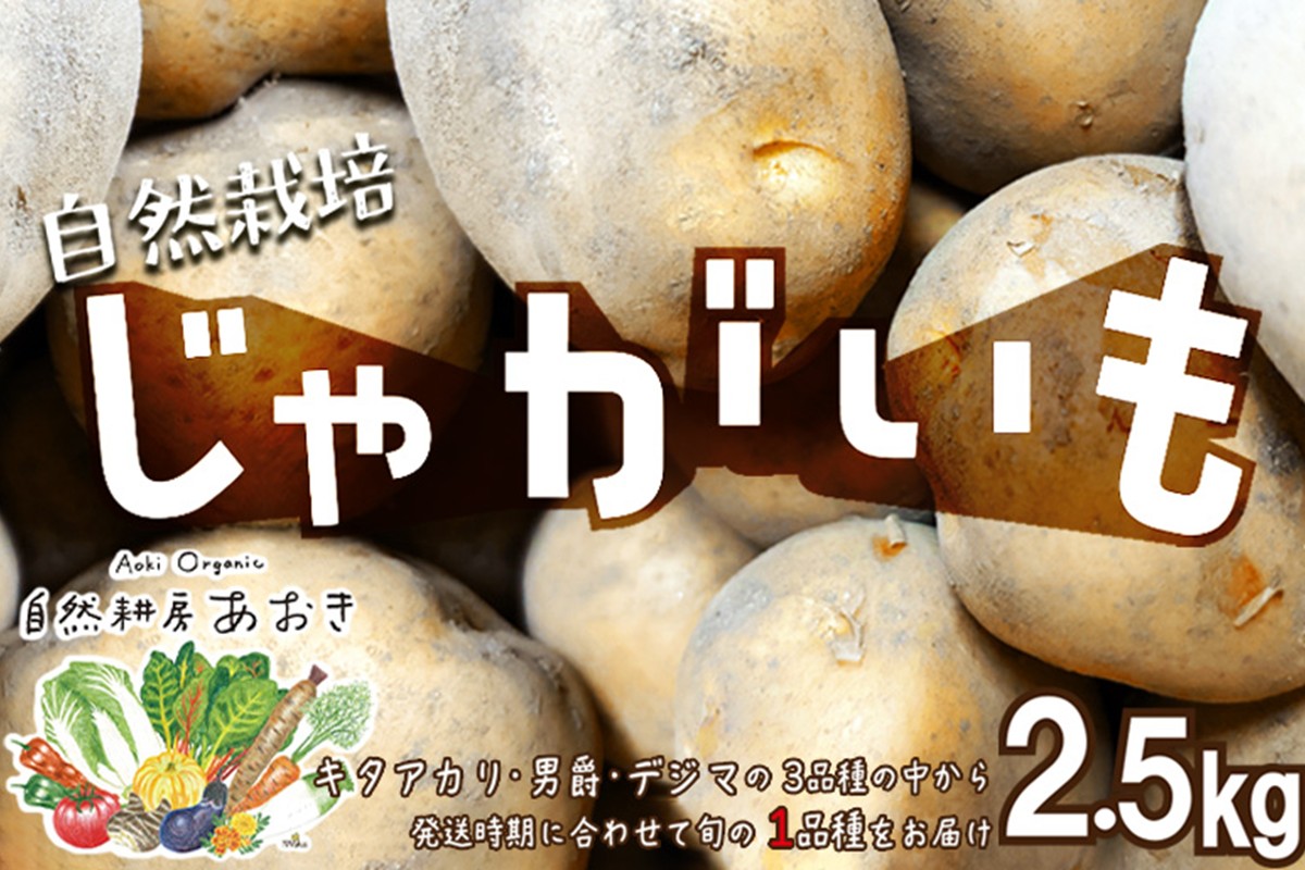 自然栽培じゃがいも 2.5kg 京都・京丹後産 自然栽培 旬野菜　じゃがいも 芋 いも 野菜 やさい 根菜 旬 京都 京丹後 自然栽培 農薬不使用