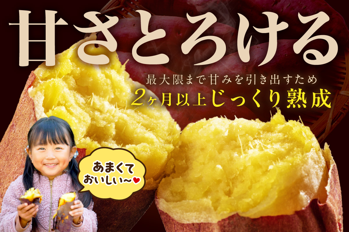 さつまいもオブザイヤー紅はるか部門全国1位 京都・ 丹後産　さつまいも 紅はるか　土付き（1本120～450g程度）5kg 京都 丹後 ふるさと納税 さつまいも サツマイモ ふるさと納税 野菜 