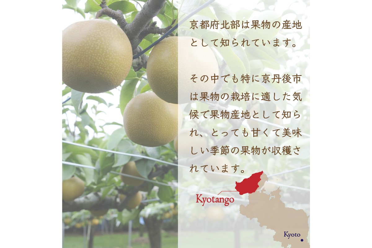 莠ャ荳ケ蠕檎肇縲譴ィ縲繝峨Λ繧、繝輔Ν繝シ繝縲10陲