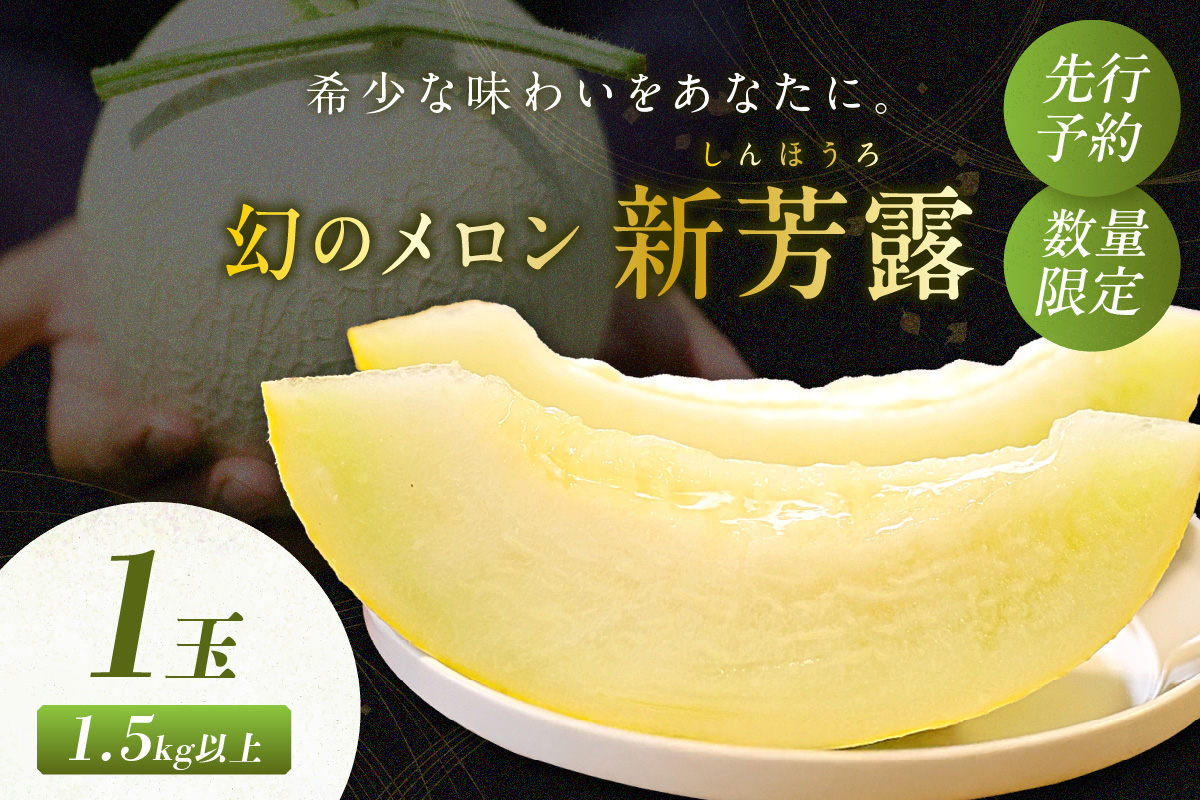 【先行予約／数量限定200】幻のメロン 新芳露 1玉（2026年7月中旬～発送）