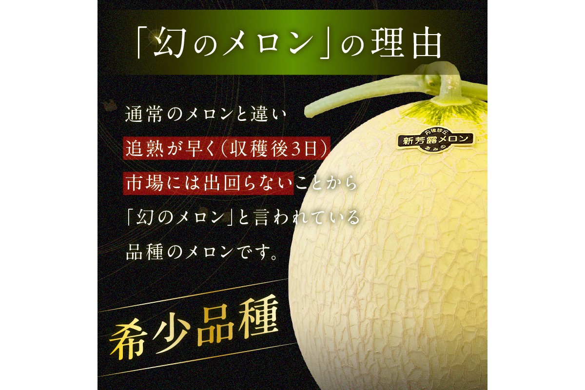 【先行予約／数量限定200】幻のメロン 新芳露 1玉（2026年7月中旬～発送）