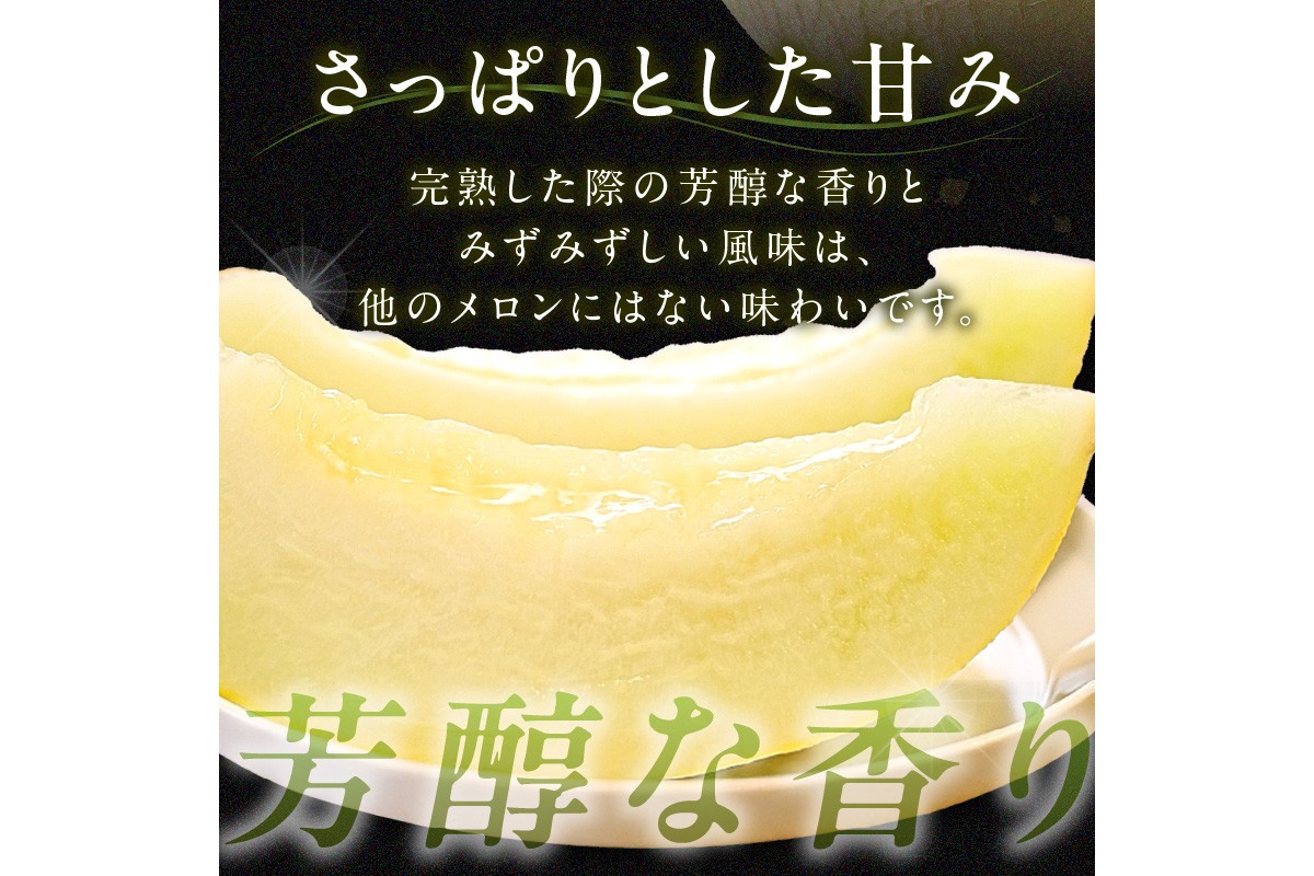 【先行予約／数量限定200】幻のメロン 新芳露 1玉（2026年7月中旬～発送）