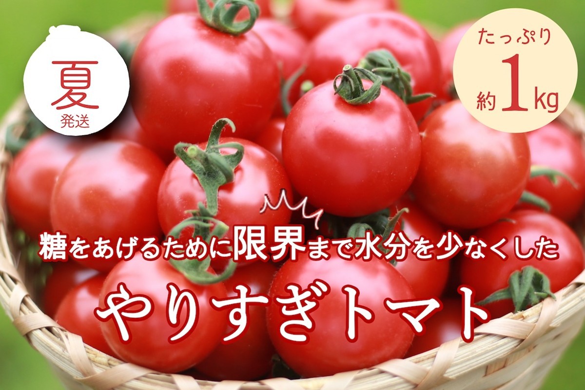 【先行予約】やりすぎトマト（4パック計約1kg）（夏季）（2026年6月上旬以降発送）