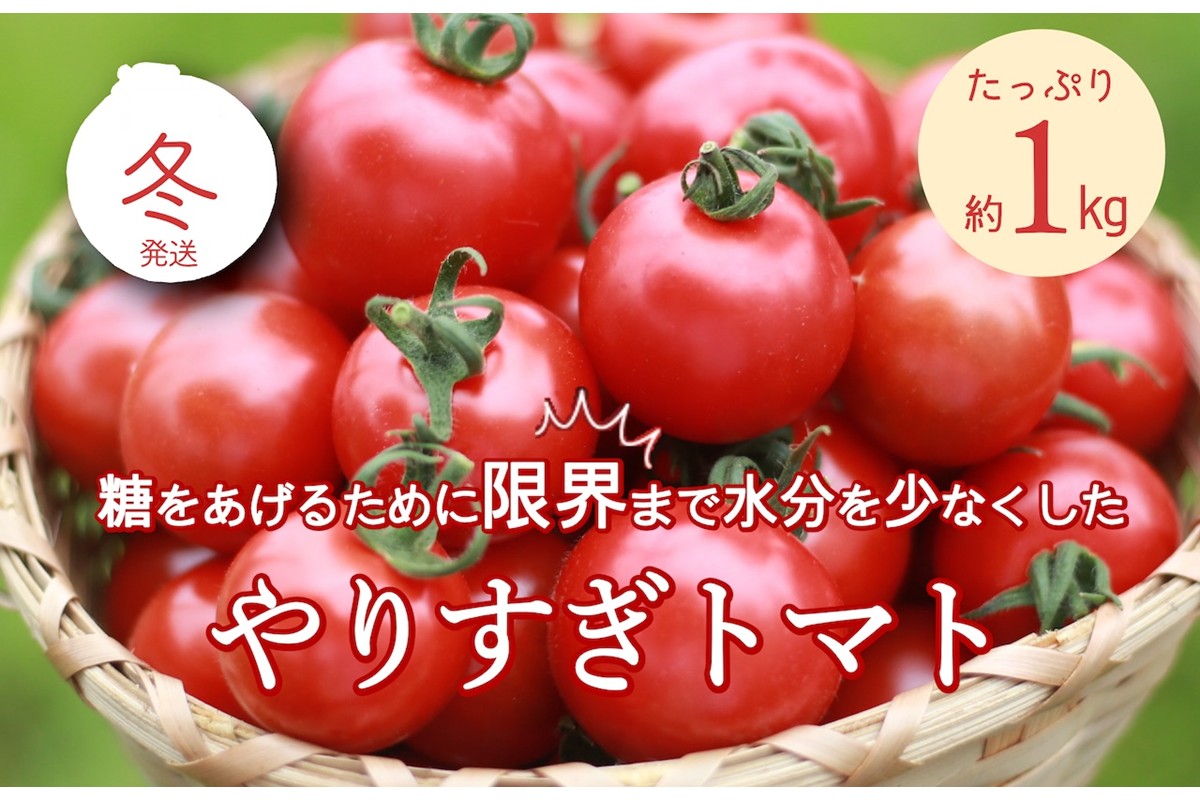 【先行予約】やりすぎトマト（4パック計約1kg）（冬季）（2026年12月上旬以降発送）