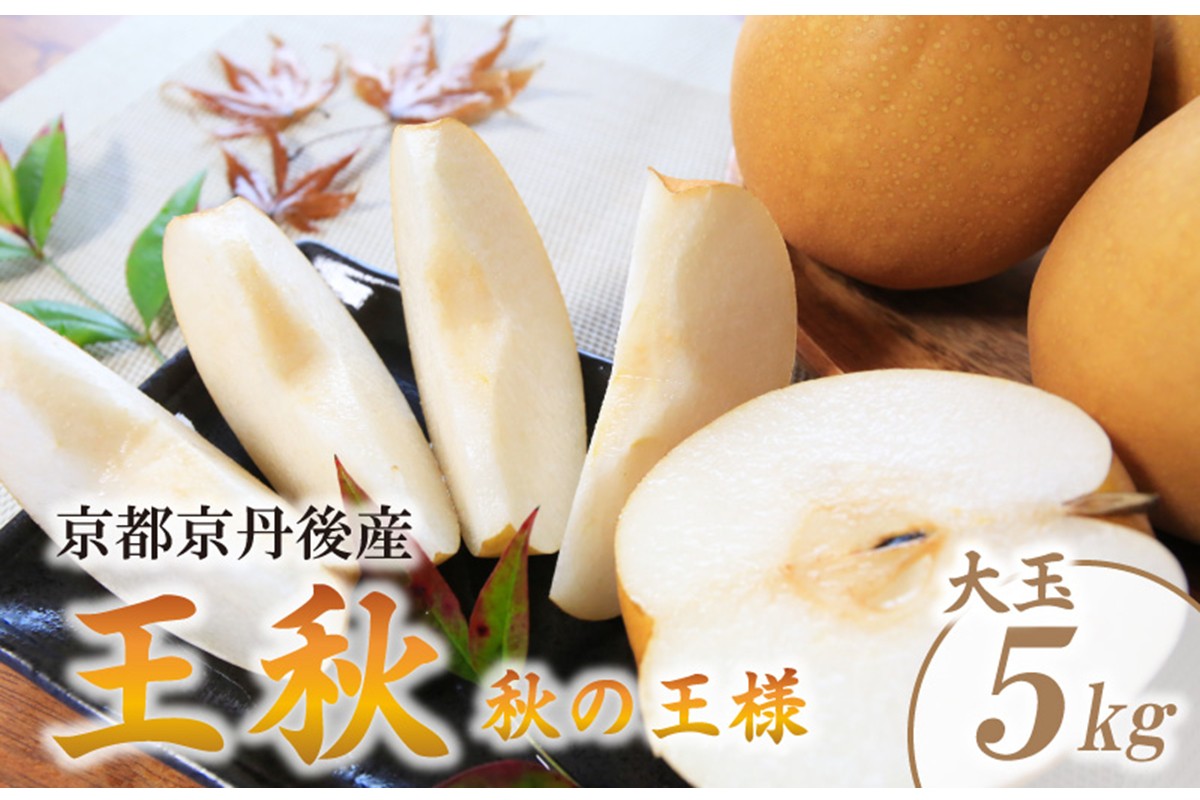 【先行予約／数量限定200】農家直送 秋の王様 「王秋」5kg（概ね7玉～12玉）（2026年11月上旬～発送）