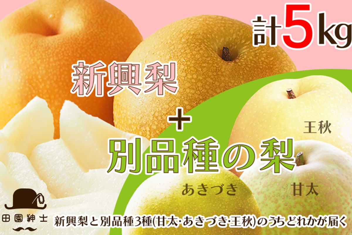 田園紳士厳選「梨好きさんのための梨セット」新興梨ともう1品種の計2品種セット