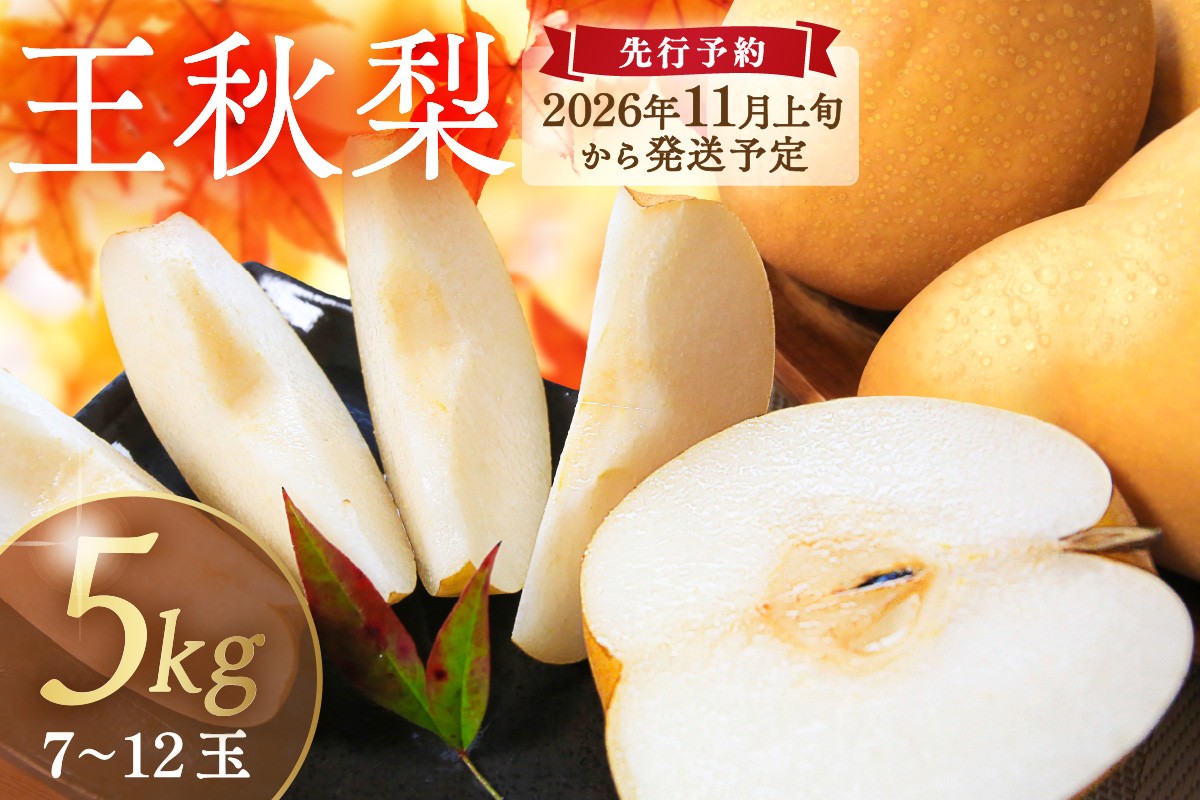 【先行予約／数量限定200】農家直送 秋の王様 「王秋」5kg（概ね7玉～12玉）（2026年11月上旬～発送）