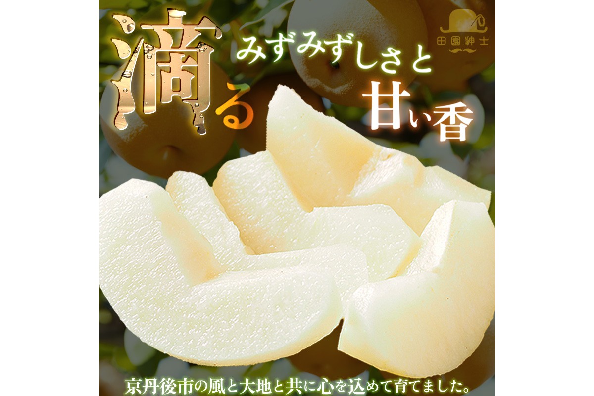 ç°å玳士å³éžã梚奜ãããã®ããã®æ¢šã»ãããæ°èæ¢šãšãã1åçš®ã®èš2åçš®ã»ãã æç© ãã«ãŒã 梚 ã»ãã è©°ãåãã æ°è梚 ããã¥ã ç倪 çç§ ãµãããšçŽç𠿢š ãµãããšçŽçš ãã«ãŒã ã»ãã