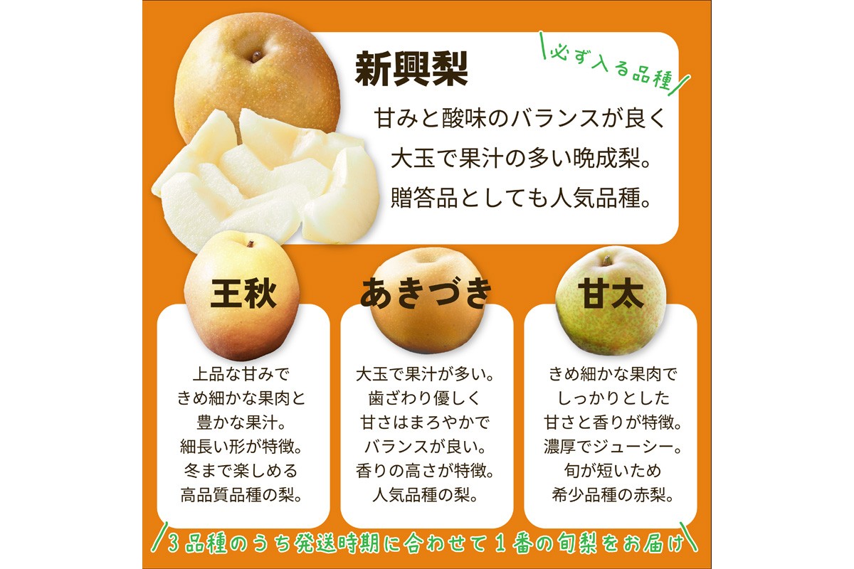 ç°å玳士å³éžã梚奜ãããã®ããã®æ¢šã»ãããæ°èæ¢šãšãã1åçš®ã®èš2åçš®ã»ãã æç© ãã«ãŒã 梚 ã»ãã è©°ãåãã æ°è梚 ããã¥ã ç倪 çç§ ãµãããšçŽç𠿢š ãµãããšçŽçš ãã«ãŒã ã»ãã