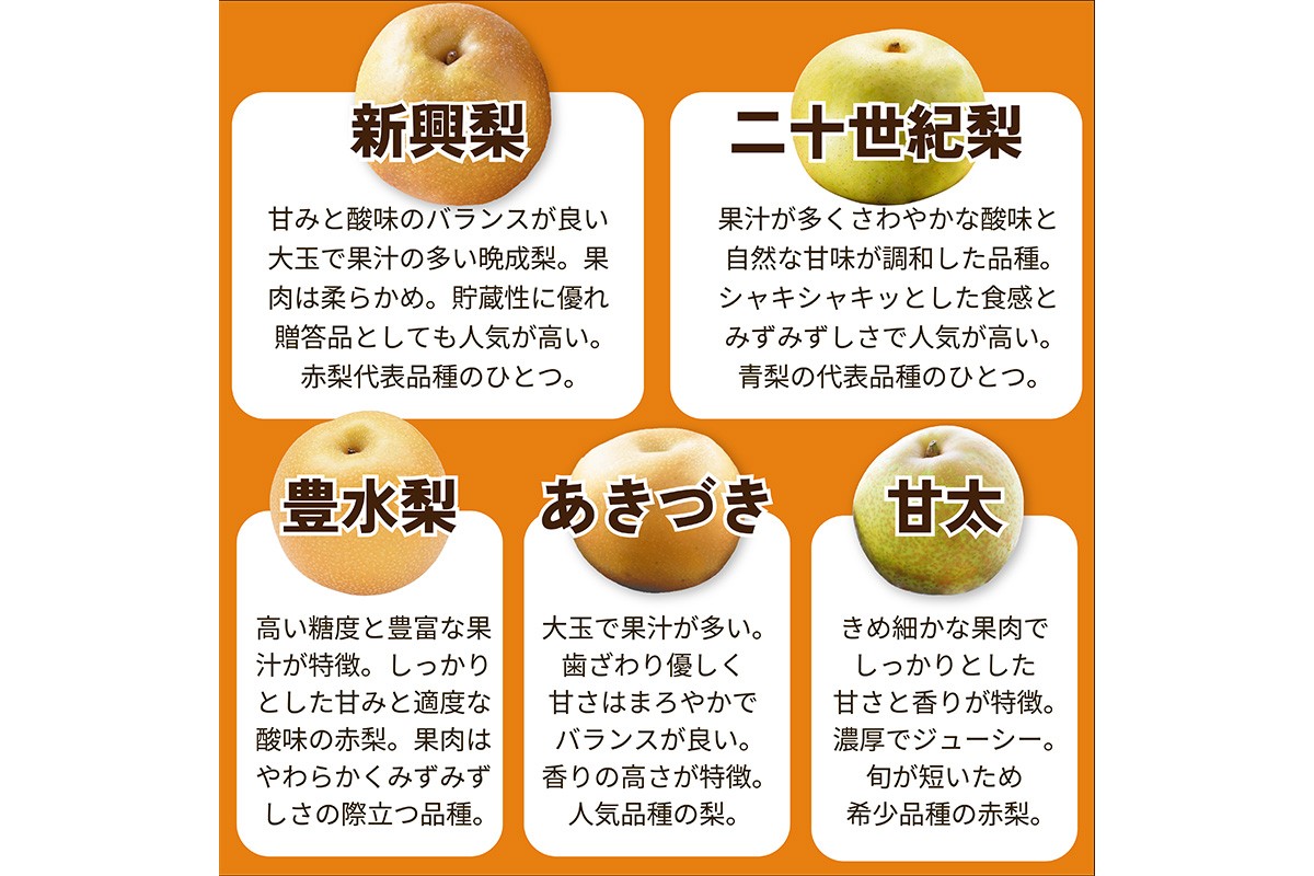 田園紳士厳選「梨好きさんのための定期便3回」（1品種（各約4〜6玉）×3回（計３品種）） 先行予約 果物 フルーツ 梨 定期便 定期 3回 20世紀 豊水 あきづき 甘太 新興 ふるさと納税 フルーツ 定期便 ふるさと納税 梨