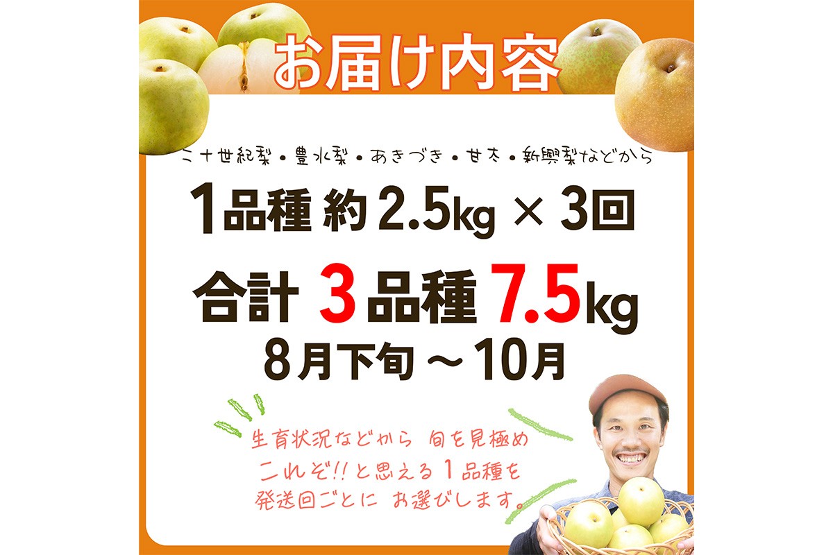 田園紳士厳選「梨好きさんのための定期便3回」（1品種（各約4〜6玉）×3回（計３品種）） 先行予約 果物 フルーツ 梨 定期便 定期 3回 20世紀 豊水 あきづき 甘太 新興 ふるさと納税 フルーツ 定期便 ふるさと納税 梨