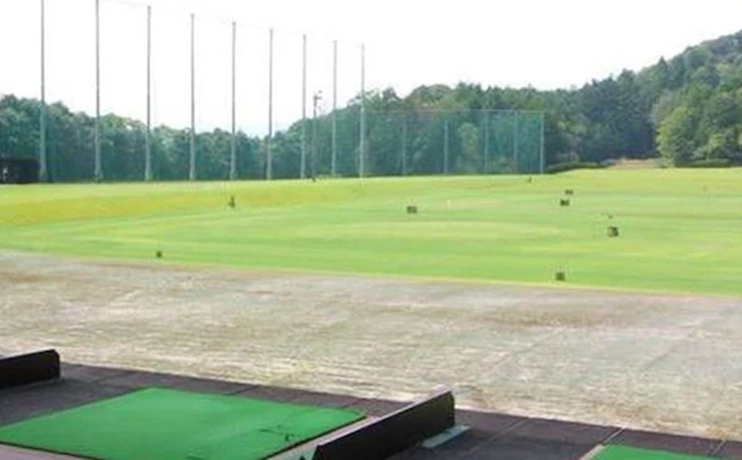 【オーダーメイド】カスタムクラブ製作チケット（フィッティング付）（1万1千円分利用券） ゴルフ ごるふ GOLF スポーツ すぽーつ ゴルフショップ 測定 シャフト 調整 診断 グリップ 交換 スイング