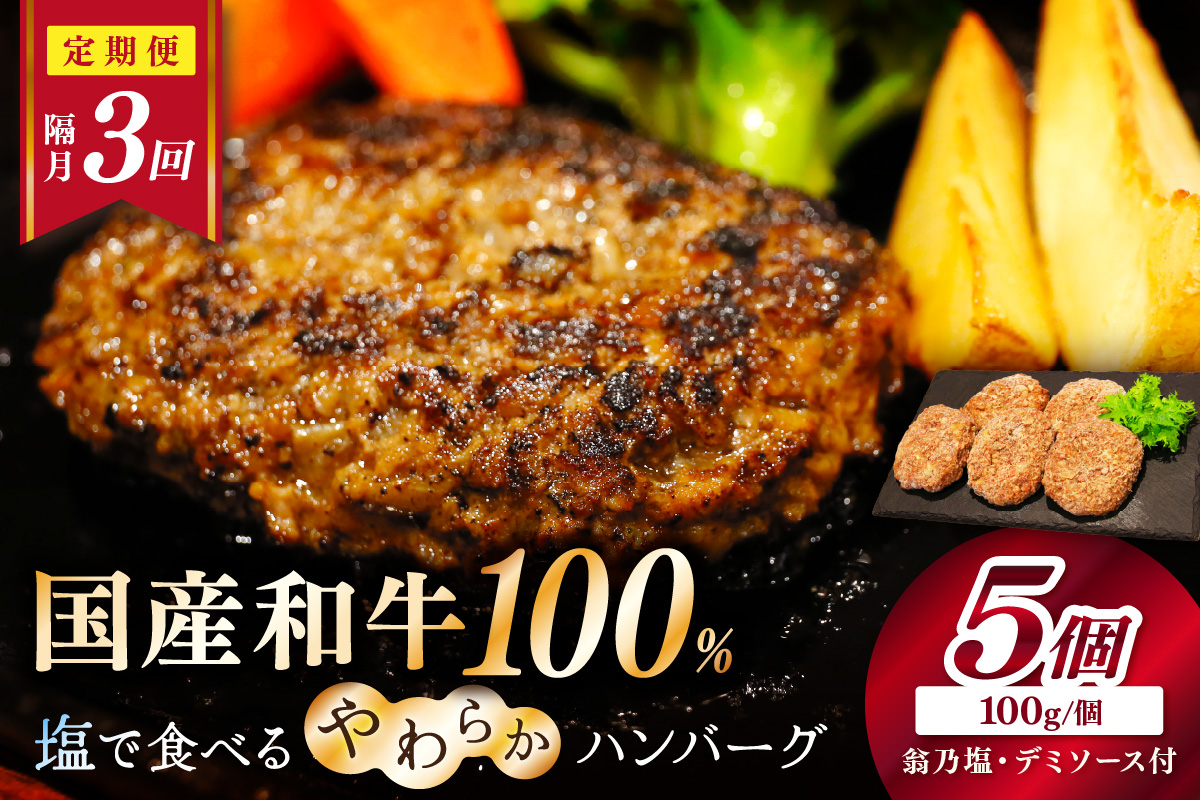 <定期便・隔月3回>塩で食べるやわらかハンバーグ（デミグラスソース付）