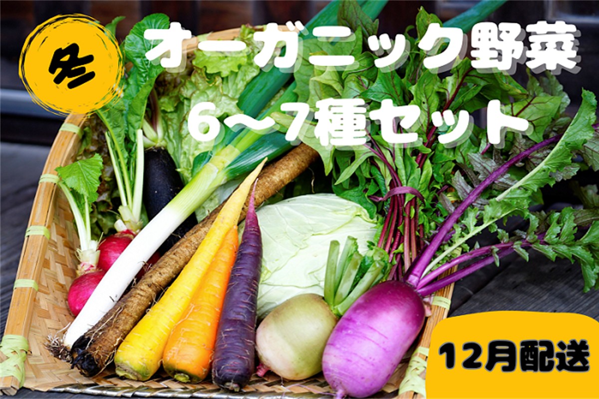 【先行予約：12月配送】＜てんとうむしばたけ＞冬のオーガニック野菜セット　有機野菜6～7種前後