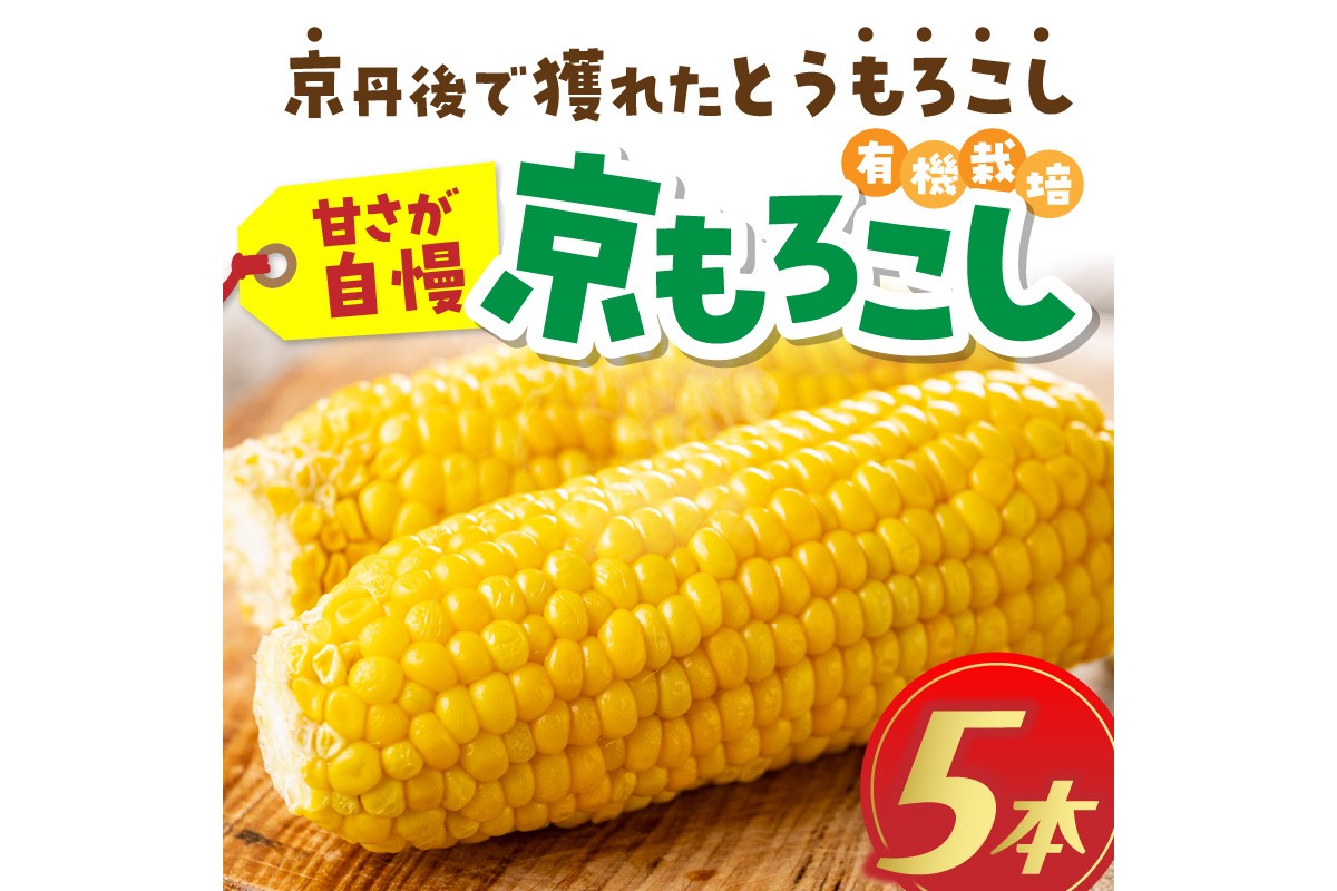 ＜てんとうむしばたけ＞有機とうもろこし5本　有機野菜 甘い 野菜 ふるさと納税 とうもろこし 期間限定 とうもろこしごはん かき揚げ 有機 オーガニック 産地直送 旬野菜 旬 コーン バター ペッパーランチ シャキシャキ 弾ける 丸ごと かぶりつき
