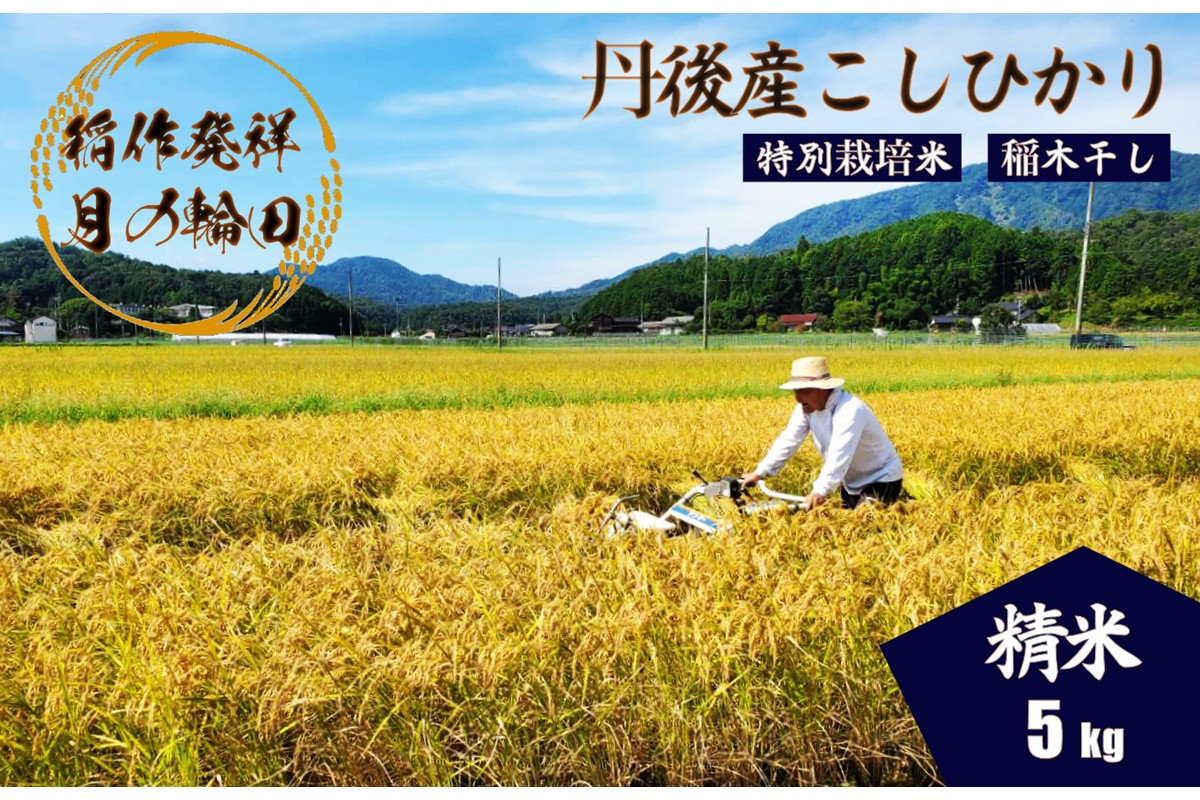 2025蟷エ逕」 莠ャ荳ケ蠕檎肇遞イ菴懃匱逾・縺ョ蝨ー繧ウ繧キ繝偵き繝ェ迚ケ蛻・譬ス蝓ケ邀ウ 譛医ョ霈ェ逕ー邀ウ 邊セ邀ウ5kgシ亥、ゥ譌・蟷イ縺暦シ