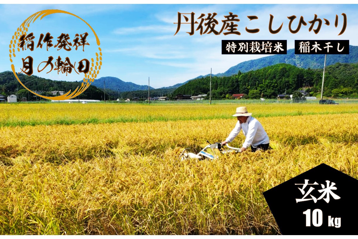 2025å¹Žç£ äº¬äž¹åŸç£çš²äœçºç¥¥ã®å°ã³ã·ãã«ãªç¹å¥æ œå¹ç±³ æã®èŒªç°ç±³ çç±³10kgïŒå€©æ¥å¹²ãïŒ