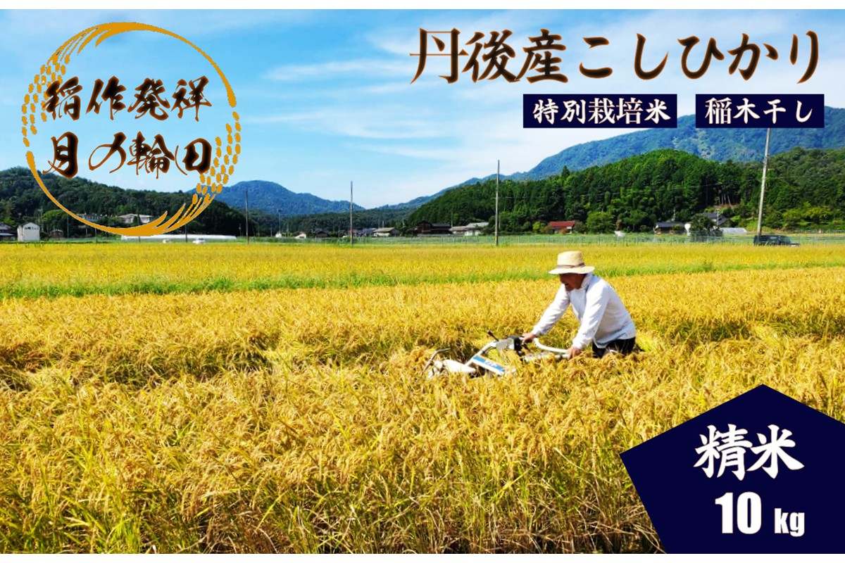 2025蟷エ逕」 莠ャ荳ケ蠕檎肇遞イ菴懃匱逾・縺ョ蝨ー繧ウ繧キ繝偵き繝ェ迚ケ蛻・譬ス蝓ケ邀ウ 譛医ョ霈ェ逕ー邀ウ 邊セ邀ウ10kgシ亥、ゥ譌・蟷イ縺暦シ