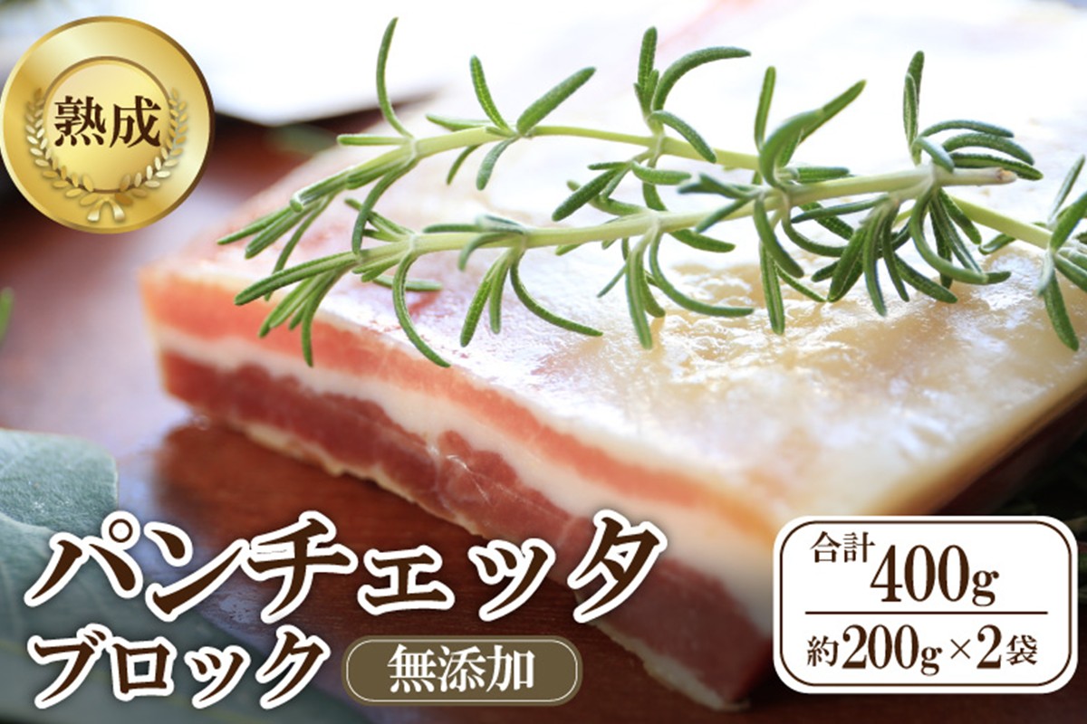 パンチェッタブロック（豚バラ肉の塩漬け）　約200g×2袋 ふるさと納税 豚肉 塩漬け ふるさと納税 ベーコン ふるさと納税 パンチェッタ 豚バラ 塩漬け スペイン料理